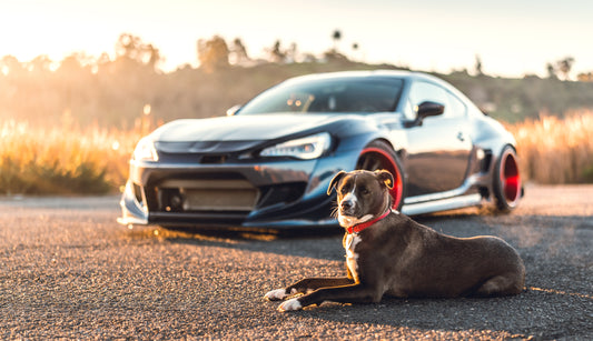 From Salvage to Show Car | Rocket Bunny BRZ