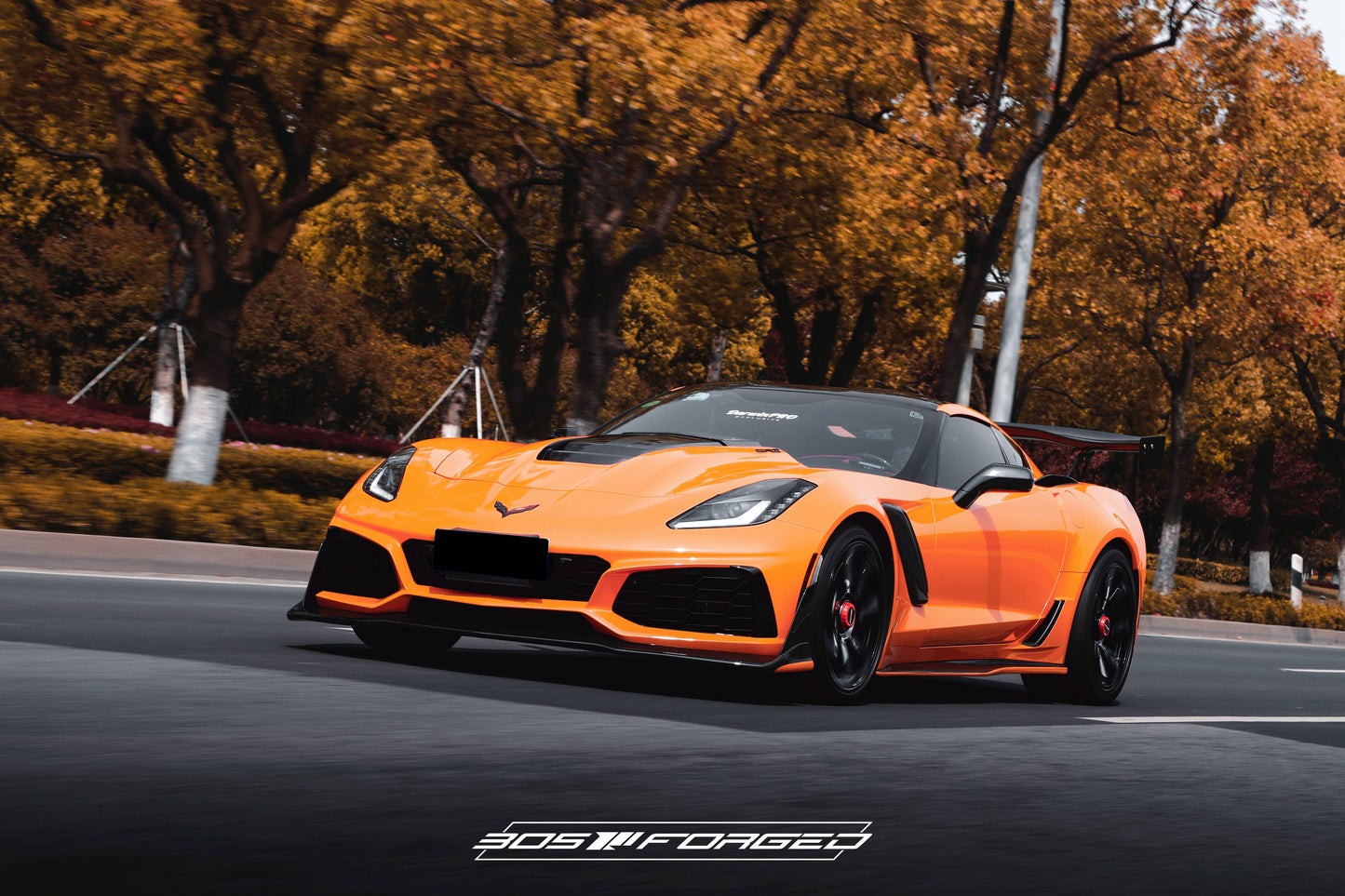 Carbon Edition|CF101